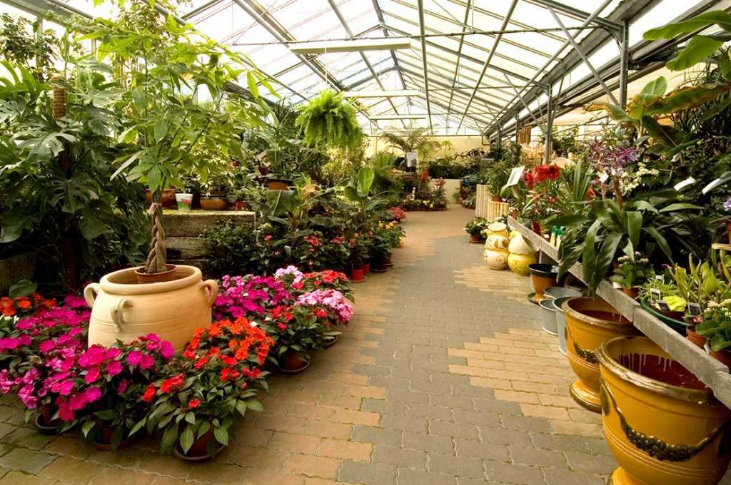 Magasin du jardin