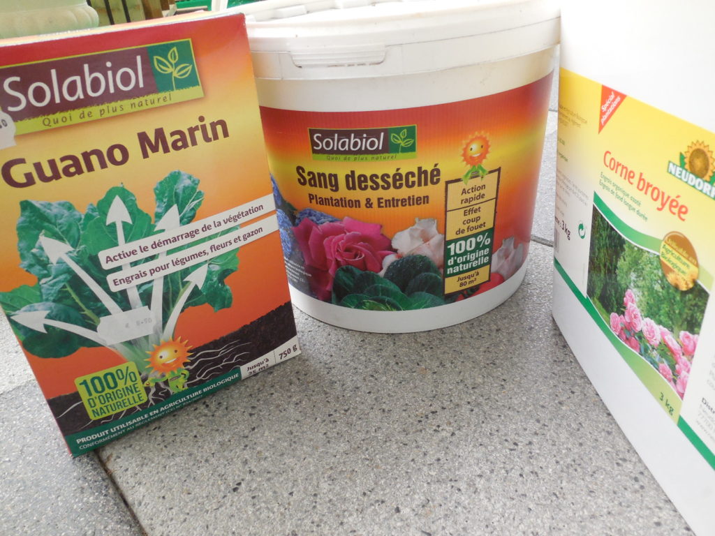Rayon bio