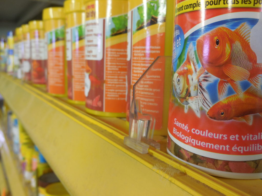Nourriture pour poissons